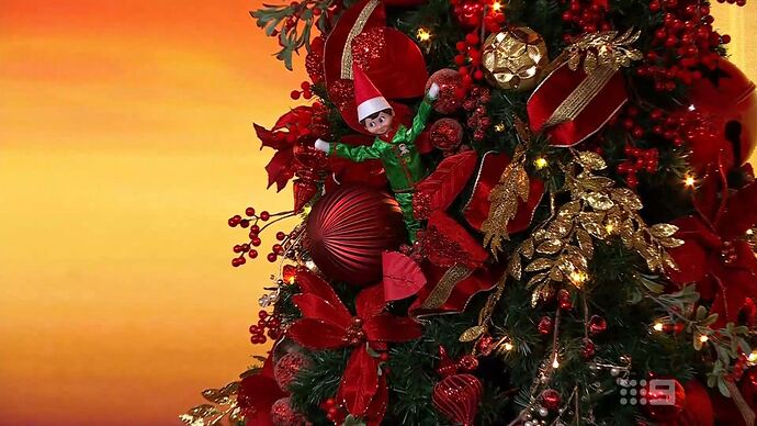 12-25_16-10-40_Channel 9 Sydney_Channel 9 Sydney.ts_008489746