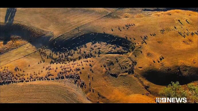 05-28_16-30-26_Channel 9_Channel 9.ts_010683380