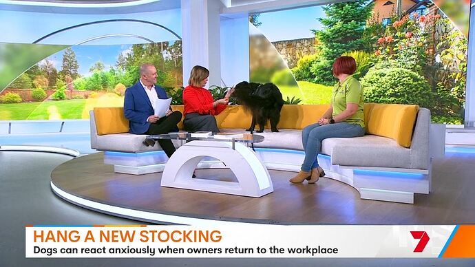 11-24_09-04-34_Seven Sydney_Seven Sydney.ts_002090887