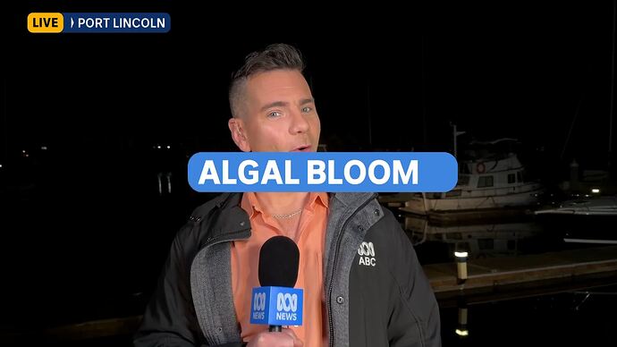 vlc-record-2025-08-11-00h14m49s-udp___127.0.0.1_5000-.ts_020678324