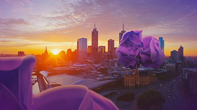 11-04_07-49-19_9 Syd_9 Syd.ts_004297064