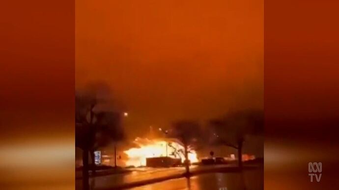 Croc_Watch_With_Steve_Backshall_20250201_1530.ts_012985068