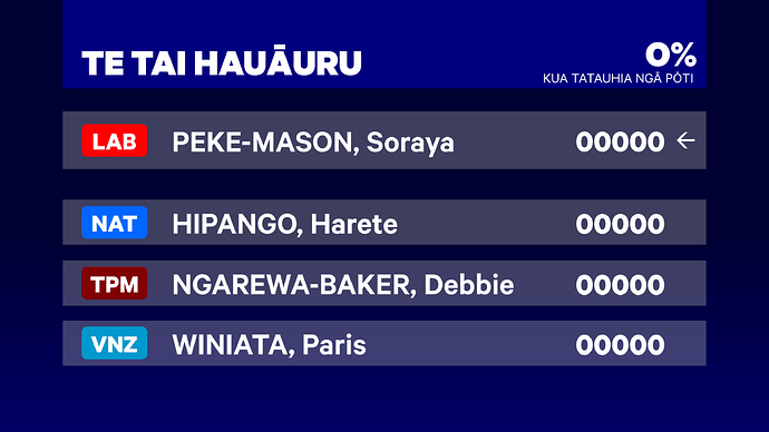 Election 2023 - Māori electorates-6