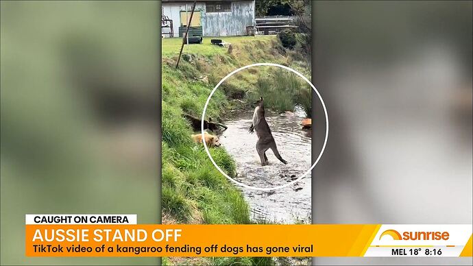 Sunrise_20240503_0753.ts_001419173