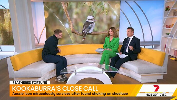 20251103014329.mp4_022132257