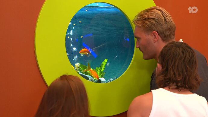 12-03_07-43-08_Big Brother Live Stream_Big Brother Live Stream.ts_001001876