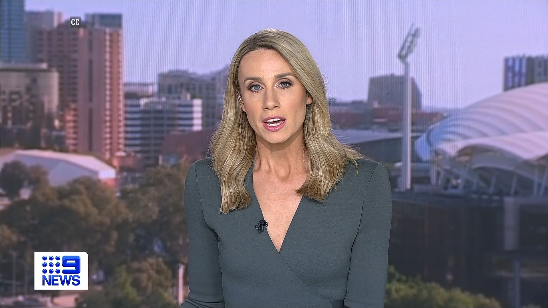 Nine News Presenters and Reporters Nine News Media Spy